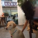 지에쓰25옥암골드점 | 자니의일상/나주중흥골드스파랜드 워터락 후기/목포 소래기/목포 카페 명지/옥암 레이디벅스/목포 유달...