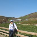 천사로목장 이미지