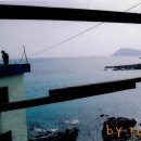 용호농장 2 이미지