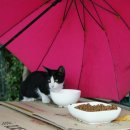 GS25군산IC점