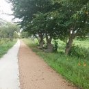 영통 도서관 삼거리 이미지