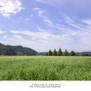 시민체육공원 인라인스케이트장 이미지