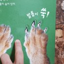 판다북 이미지
