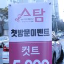 스탐헤어 네이버블로그