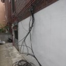 강서구-61 이미지