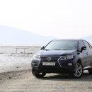 충훈벚꽃길LED조형 | 렉서스 RX450h _ 렉서스 하이브리드와 함께한 변산반도 생태여행 후기