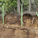 녹산농장 이미지