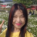 카페 데이지 이미지