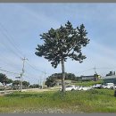 버스정류장(현대해상 앞) | 인천공항 주차대행 꿀팁! 인천공항 주차요금 아끼는 현실 후기 ✈️🚗