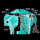 선기로1-5 이미지
