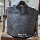 블루베리화분 판매(카펫트, 부직포) 이미지