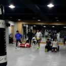 조치원세종복싱