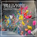 남구-130 | [울산 남구] 삼산동 월담 클라이밍 체험 후기
