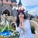 썬더커스텀 | 파리 디즈니랜드 - 인기 어트랙션 맛집 일루미네이션 시간 싱글라이더 이용 꿀팁 총정리