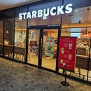 로즈힐 강남파이낸스센터점 | [서울/역삼] 강남 직장인의 쉼표, 스타벅스 강남파이낸스센터점 방문기