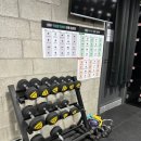 슈가복싱 이미지