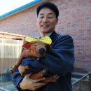 성산종돈장 이미지