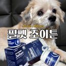 조이 동물 재활클리닉 | 강아지관절염 필펫 조이튼 노령견 미국수의사가 설계한 슬개골 관절영양제