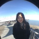 굴찜84