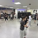 레드윙 복싱 이미지