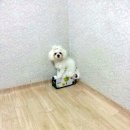 성화약국 이미지