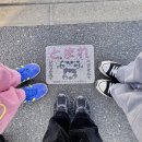 11215-자양2-960 | 대마도 1박2일 여행 기록 숙소 맛집 쇼핑 배편 추천