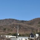 봉강매운탕