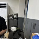 자연산형제횟집 | [포항 죽도시장] 삼형제 횟집 다녀온 후기(with 루미🐶)
