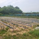 화성4리 이미지