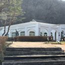 이다의숲 이미지