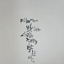 글꽃캘리그라피