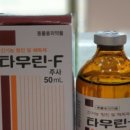신암면031 네이버블로그