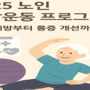 성산노인복지관 건강증진실 | 2025 노인 재활운동 프로그램 소개 – 낙상 예방부터 통증 개선까지!