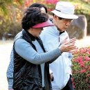 부산 광복동 롯데타운… &#39;회장님의 꿈&#39; 이뤄질까(조선일보) 이미지