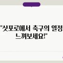 도홈 티스토리
