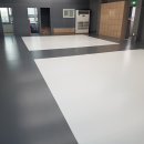 청춘유도관 이미지