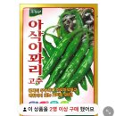 아삭이꽈리고추,미인고추 나눔해요 이미지