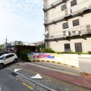 마음 동물병원 이미지