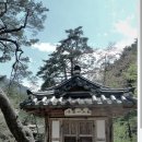 만귀정 | 성주 만귀정(晩歸亭)