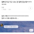 시월포차 | 시월의 어느 멋진 날들