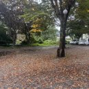 슈퍼마켓 자연숲본점 | 청계산근처 서초맛집 청계숲양대창 청계산본점