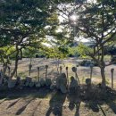 진도솔마루미술관 이미지