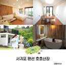 호호산장 | 제주 서귀포 독채 펜션 호호산장 프라이빗 가족여행 숙소