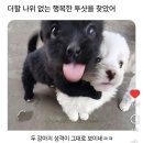 대왕메디칼 | 대충 살자했는데 또 진심모드