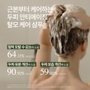 인셀덤힐링 | 🔥탈모 고민 끝! 단 1회로 달라지는 보타랩 데저티콜라 플러스 샴푸 후기