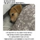 사계절91