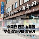 수족관 전문 쇼핑몰 부천 상아쿠아 방문기