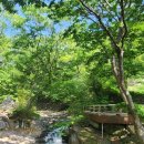 (주)대한토건 | 여수 사찰 여행지 코스 갈만한곳 | 영취산 흥국사 | 전남 가볼만한곳