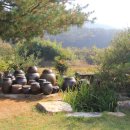 광덕농원 이미지