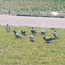 온천천변길 이미지